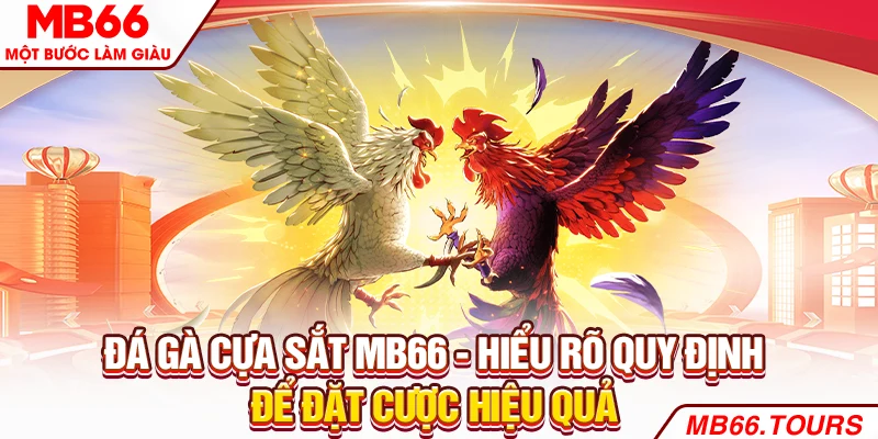 Đá Gà Cựa Sắt MB66 - Hiểu Rõ Quy Định Để Đặt Cược Hiệu Quả
